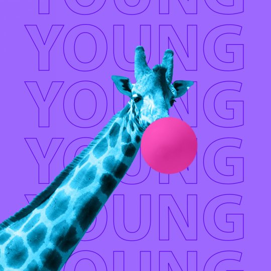 shutterstock_1351205435