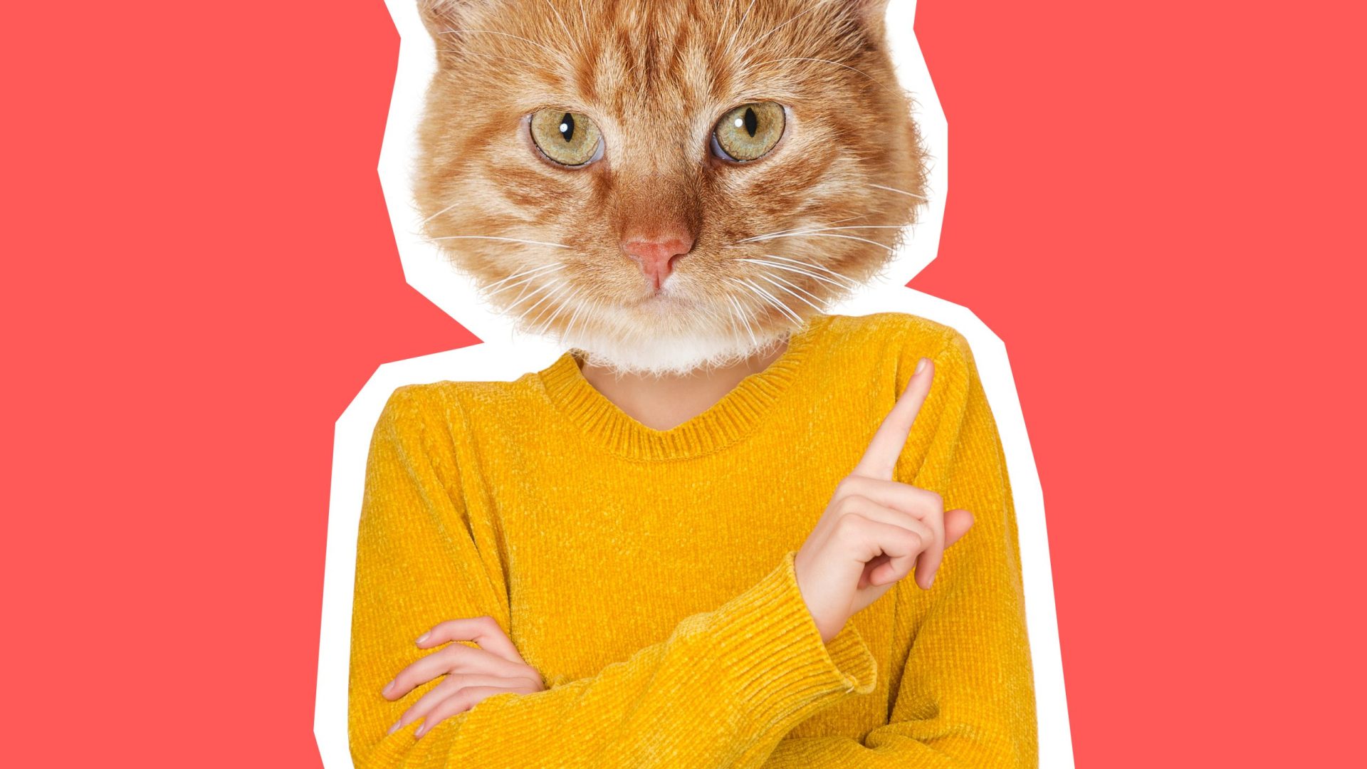 shutterstock_1913218102