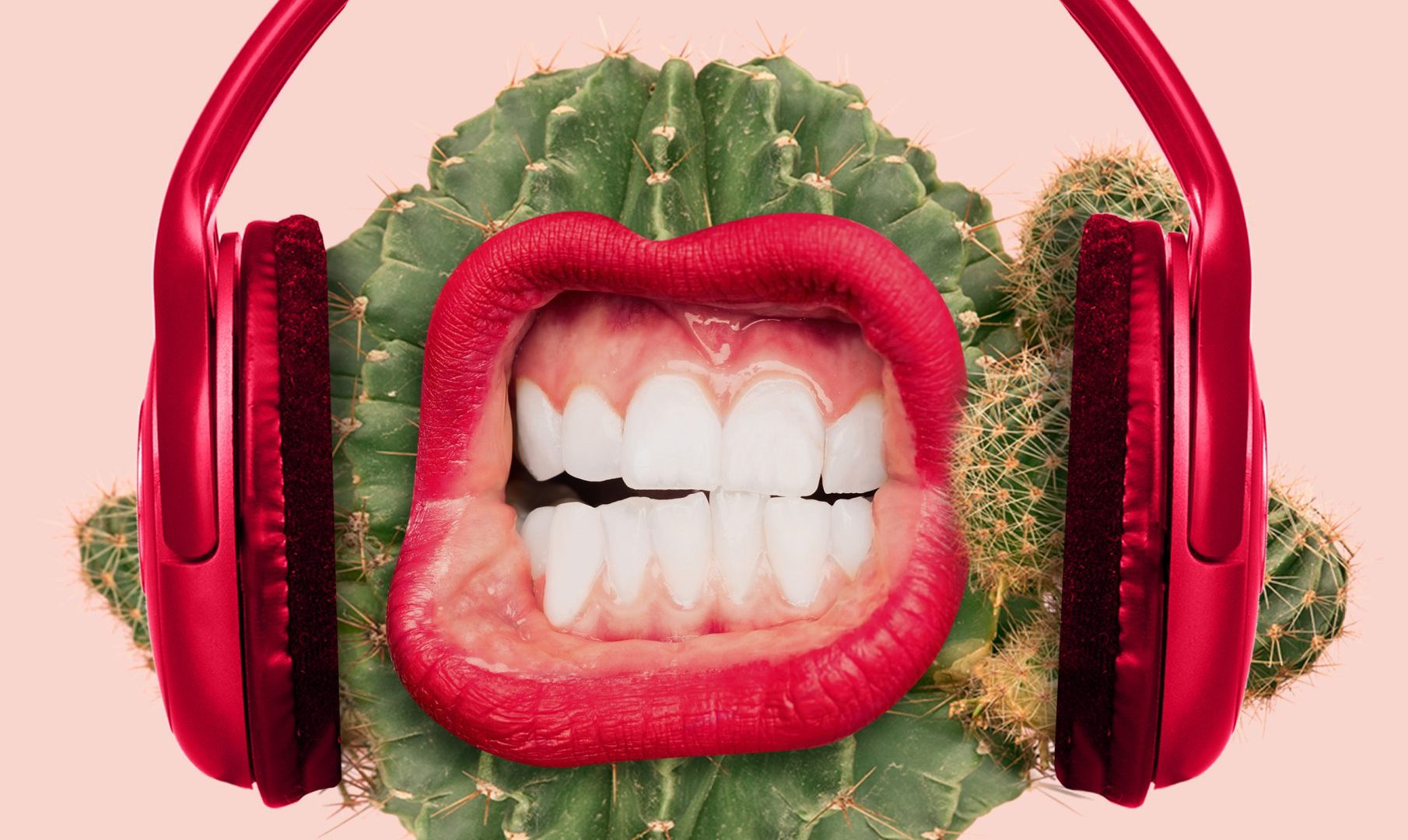 shutterstock_1353022028