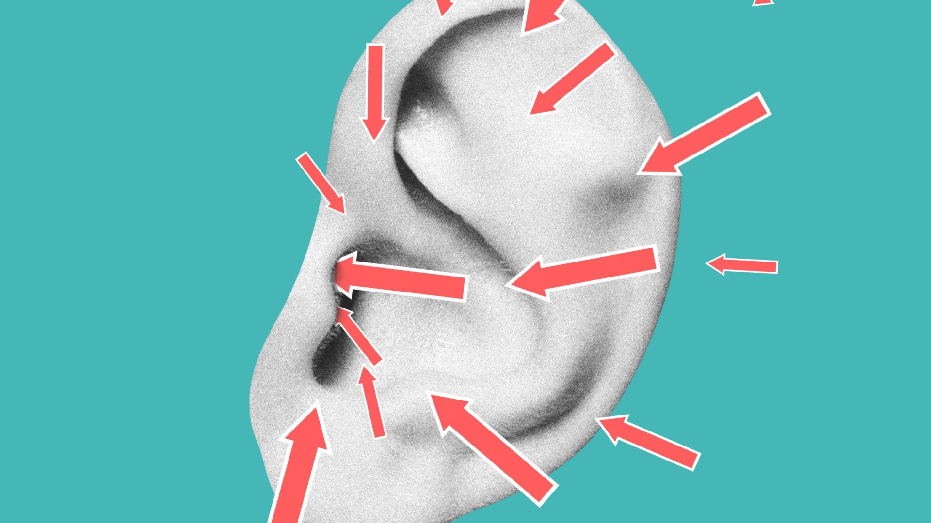 shutterstock_1908816289